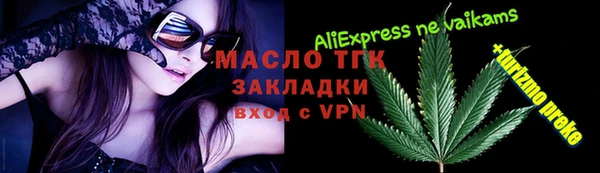тгк Абаза