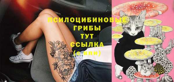 первитин Абинск