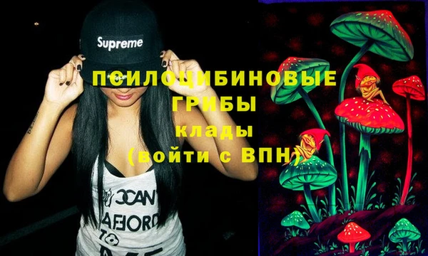 первитин Абинск