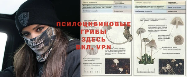 синтетический гашиш Абдулино